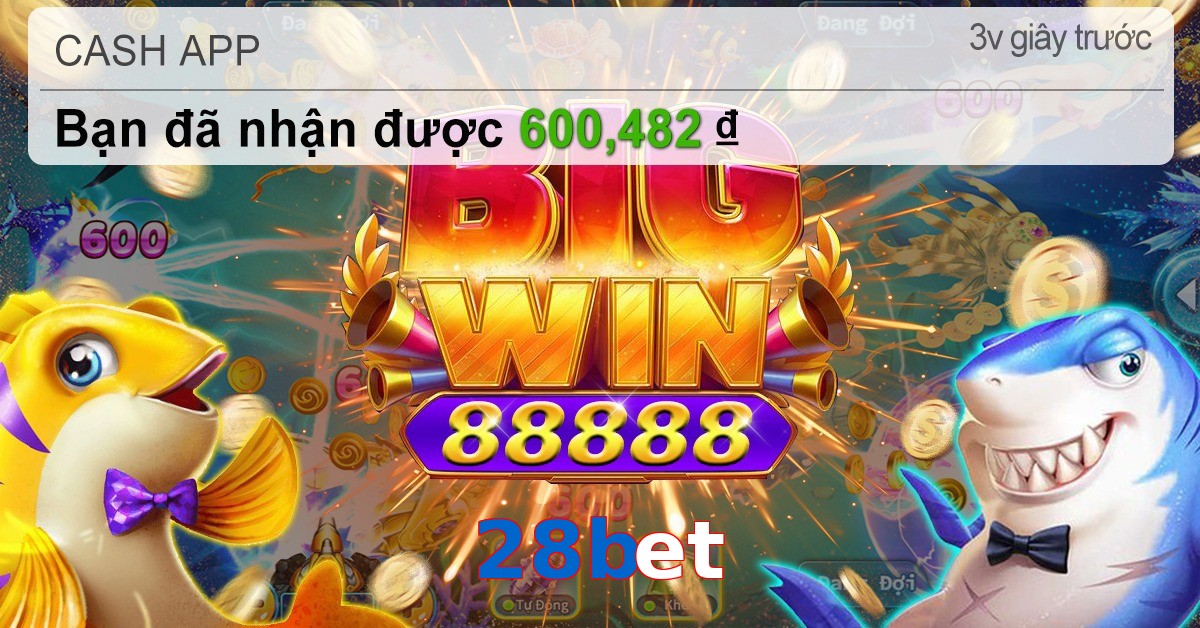 28bet
